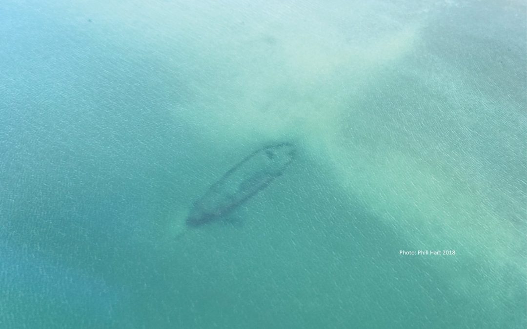 New Zealand Archaeology Week: HMS Buffalo – A ship and its survey